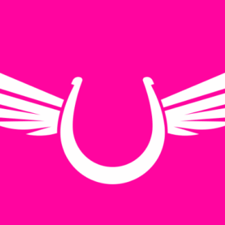 Tatto Good Luck Wings