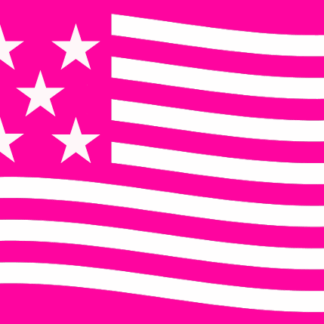 Tatto Bandeira Estados Unidos