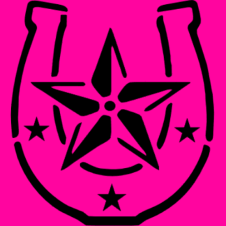 Tatto Ferradura Estrelada