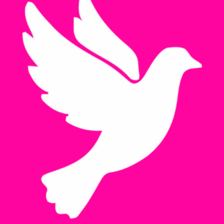 Tatto Espírito Santo