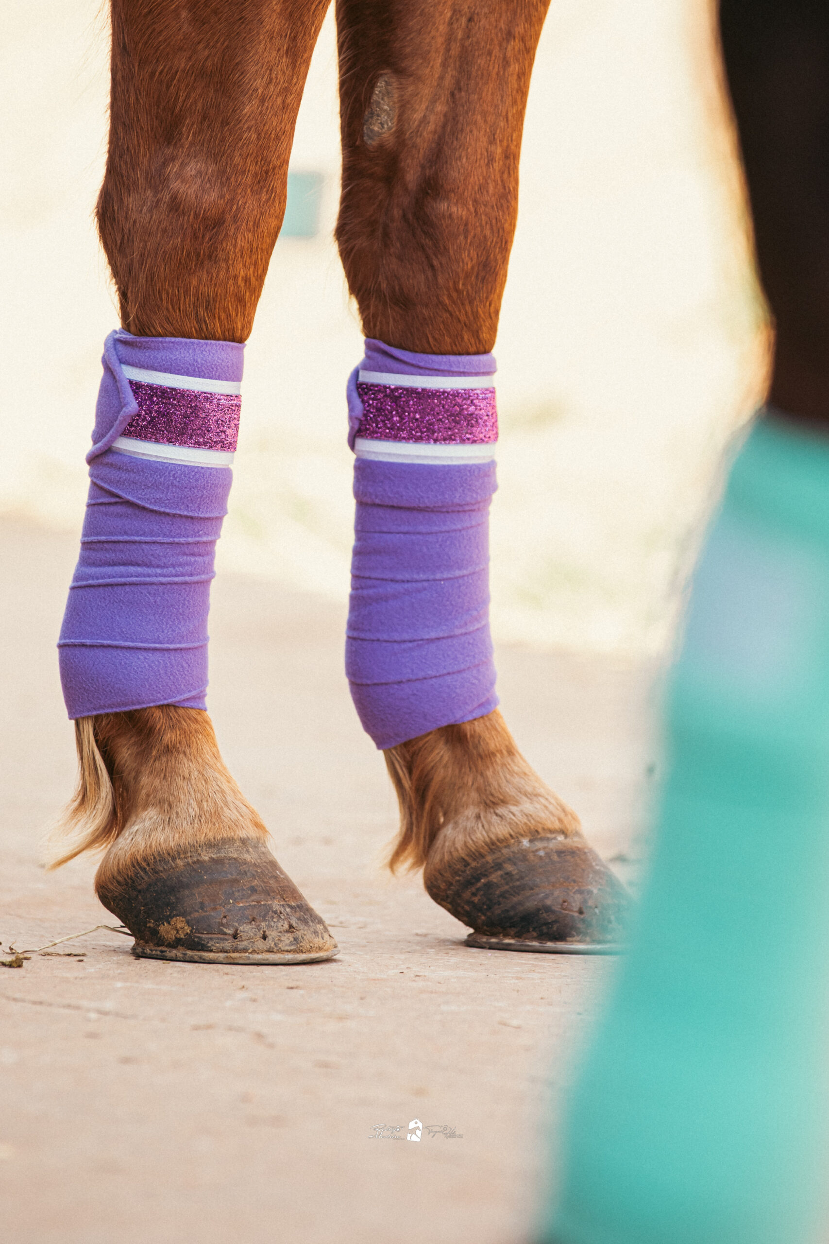 Liga Roxa - Imagem 2